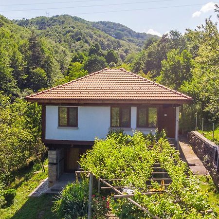 Holiday Home Lyubovo Gabrowo Exterior foto