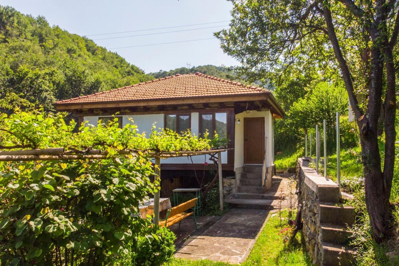 Holiday Home Lyubovo Gabrowo Exterior foto