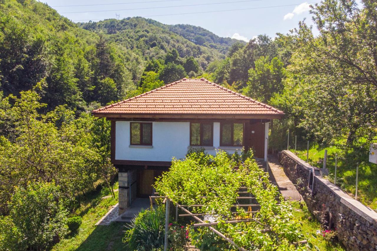 Holiday Home Lyubovo Gabrowo Exterior foto