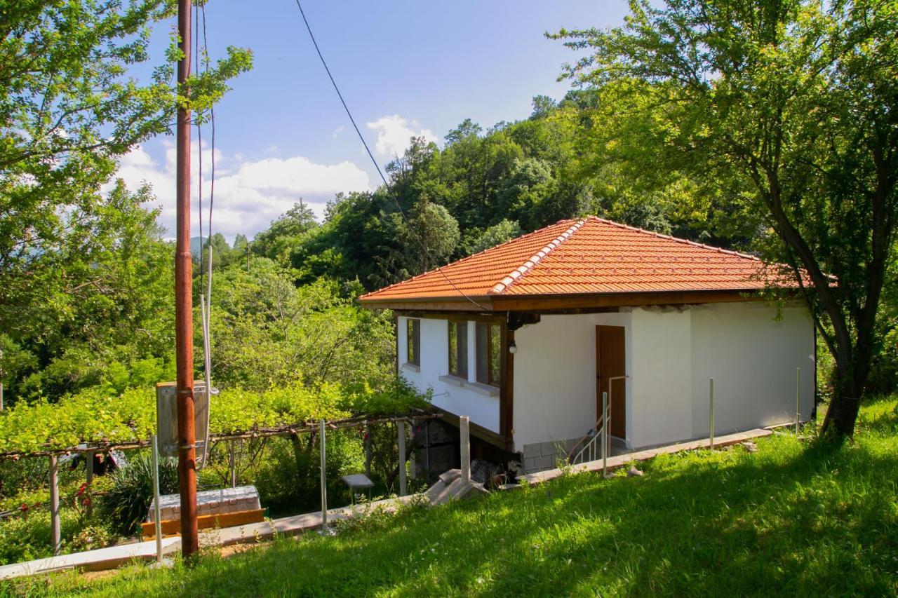 Holiday Home Lyubovo Gabrowo Exterior foto