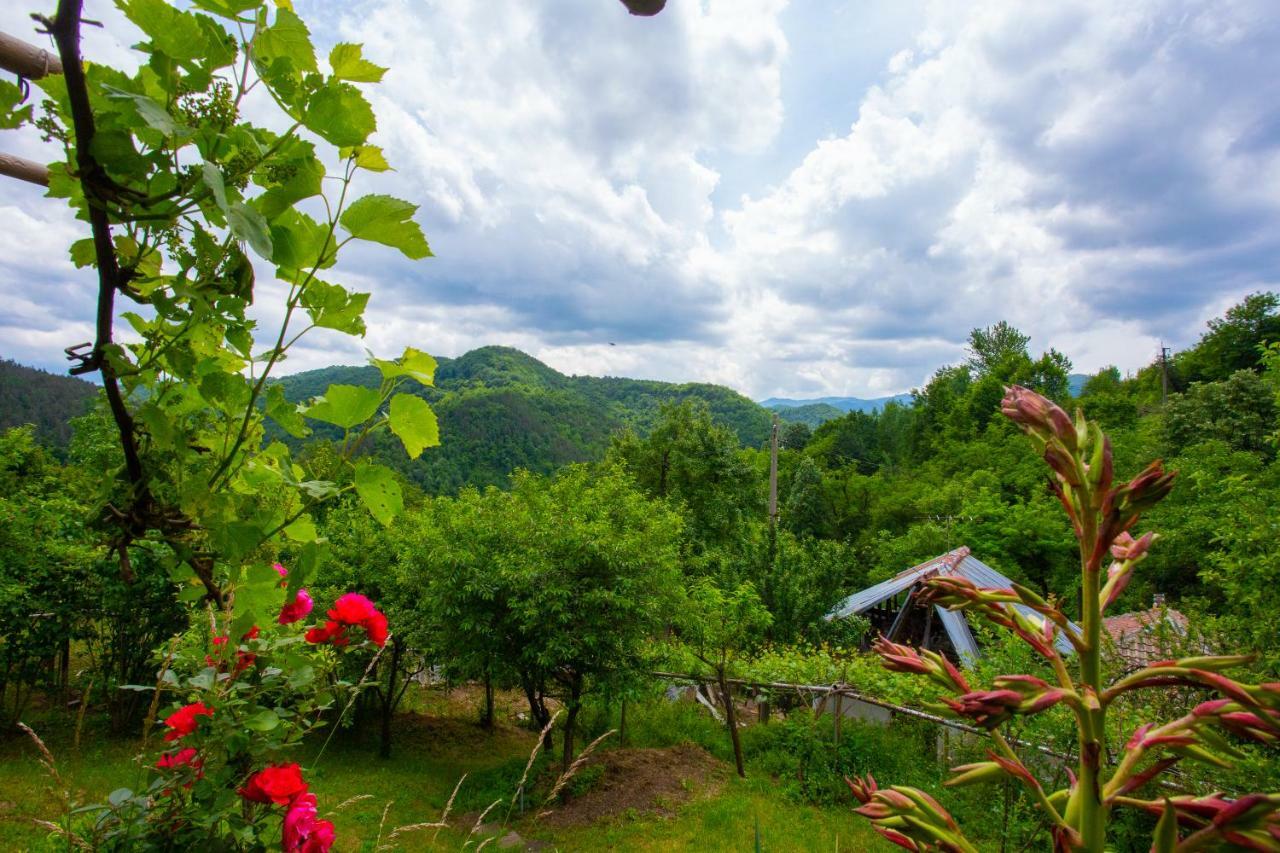 Holiday Home Lyubovo Gabrowo Exterior foto